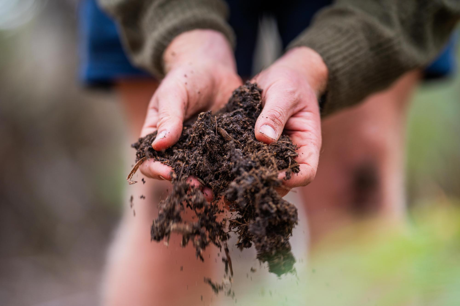 Kompostowanie – ekologiczny i oszczędny sposób na zagospodarowanie odpadów