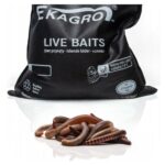 Dżdżownice Kalifornijskie do Kompostowania 1000szt