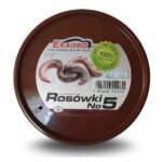 Rosówka kanadyjska No5