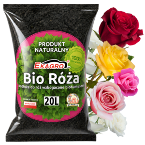 Róża_20l_podłoże