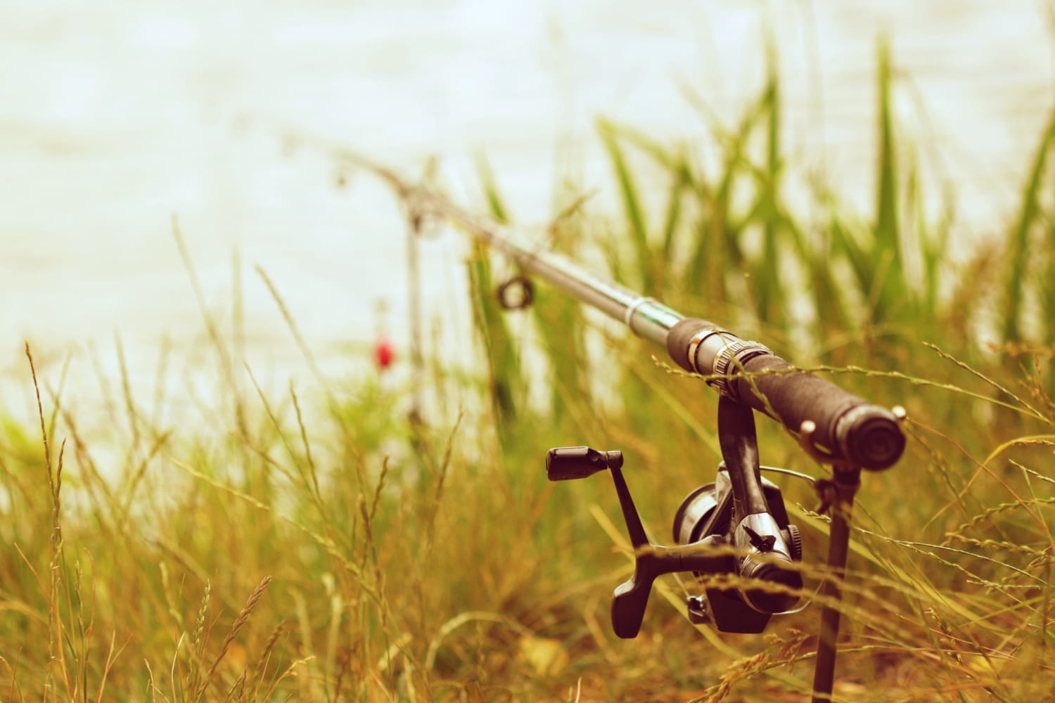 Wędka z kołowrotkiem przygotowana do połowu nad brzegiem wody - wędkowanie dla początkujących i nauka podstawowych technik łowienia ryb.